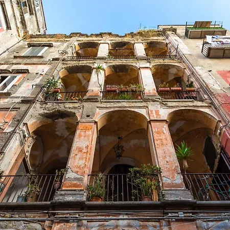 La Gatta Cenerentola Maison d'hôtes
