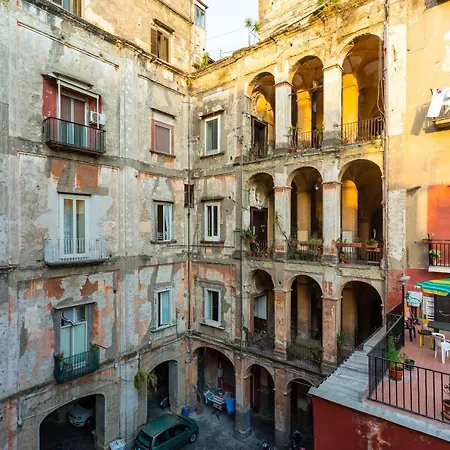Konukevi La Gatta Cenerentola Napoli